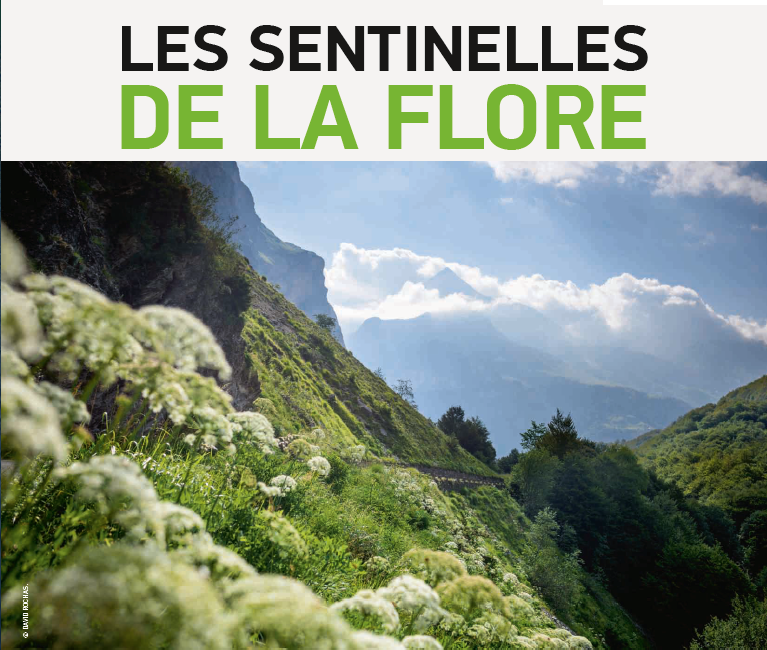 Les sentinelles de la flore/Pyrénées mag